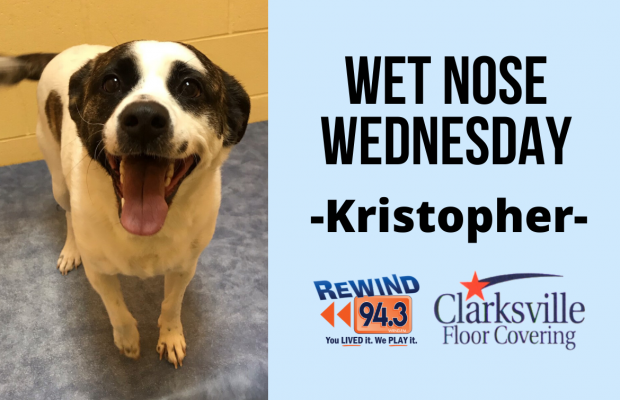 Wet Nose Wednesday…Meet Kristopher!!