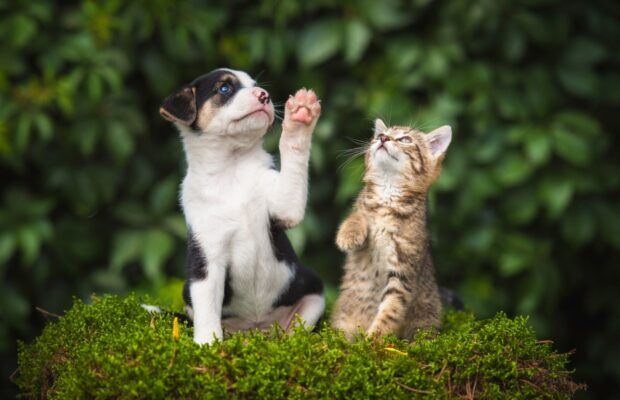 Here’s a political race we will be watching closely!