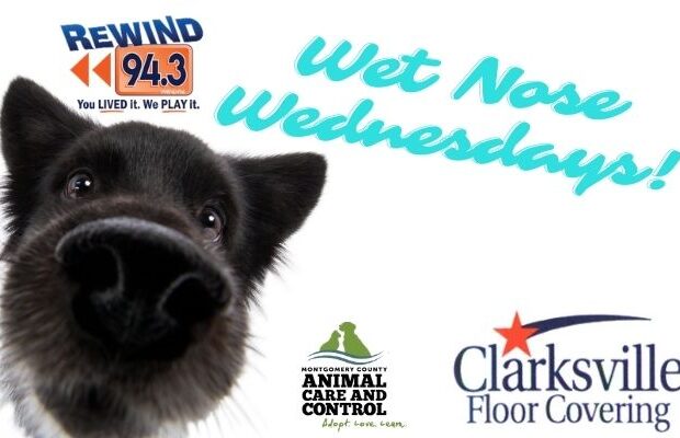 Wet Nose Wednesdays! Wet Nose Wednesdays!