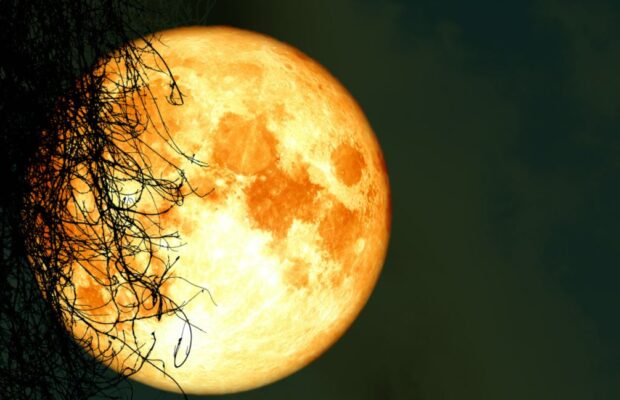 Harvest Moon, tonight!