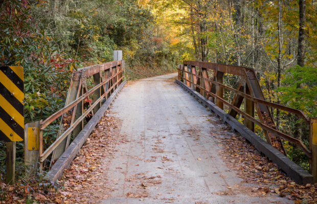 Clarksville and Hopkinsville’s best things to do as fall sets in.